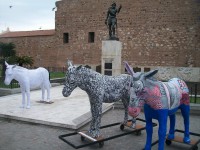/album/excurcion-desde-villa-carlos-paz/a100-4321-jpg/