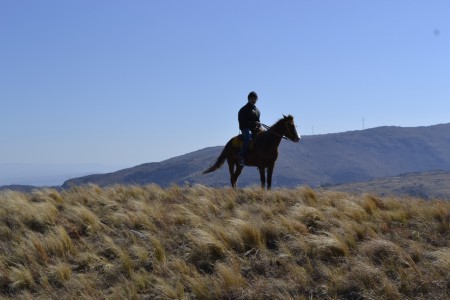 En la Inmensidad del Paisaje