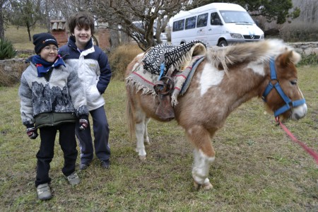 AMIGOS con nuestro PONY PELUCHE