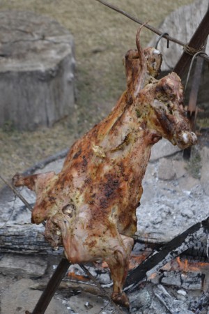 CABRITO